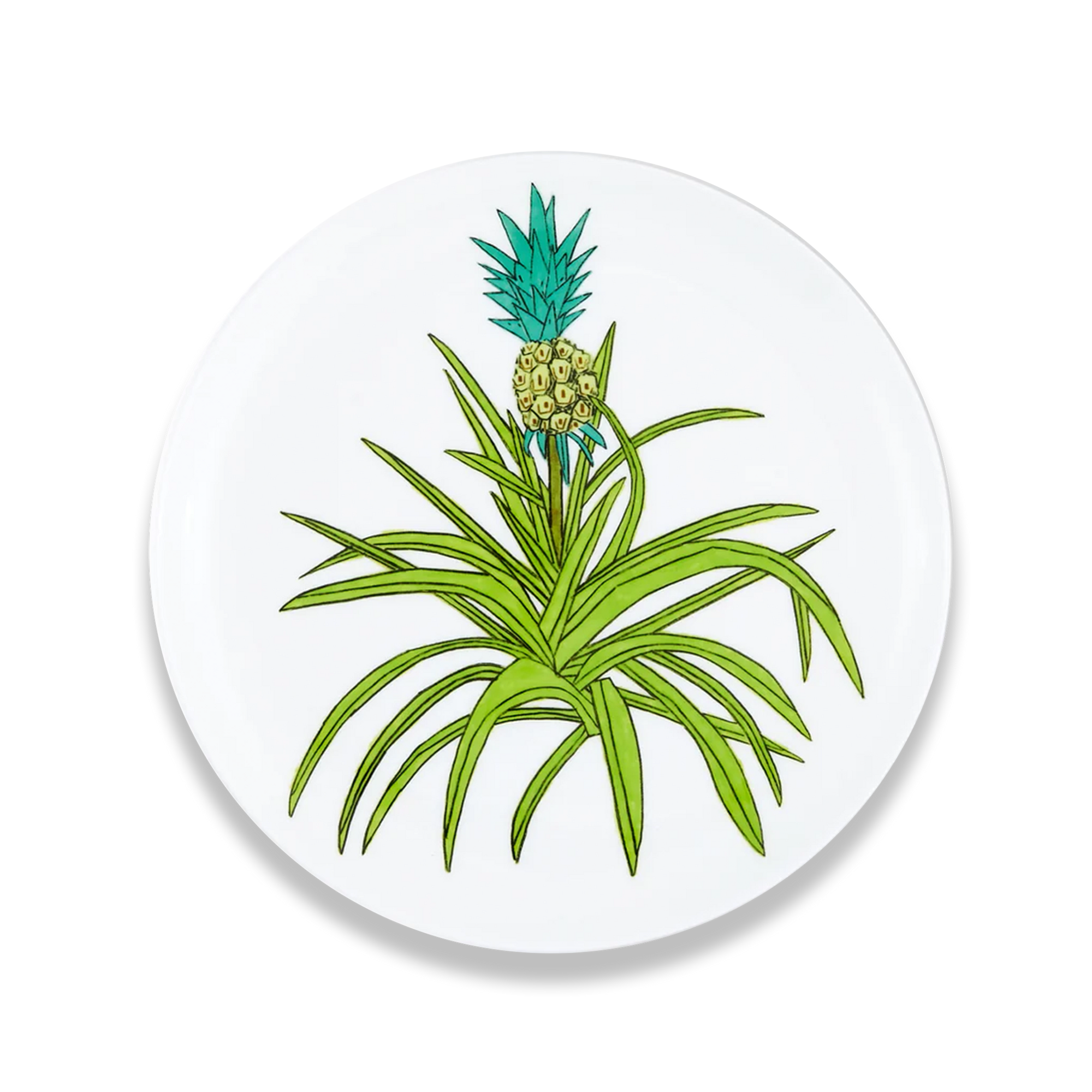 Plate by Jonas Wood (2025)