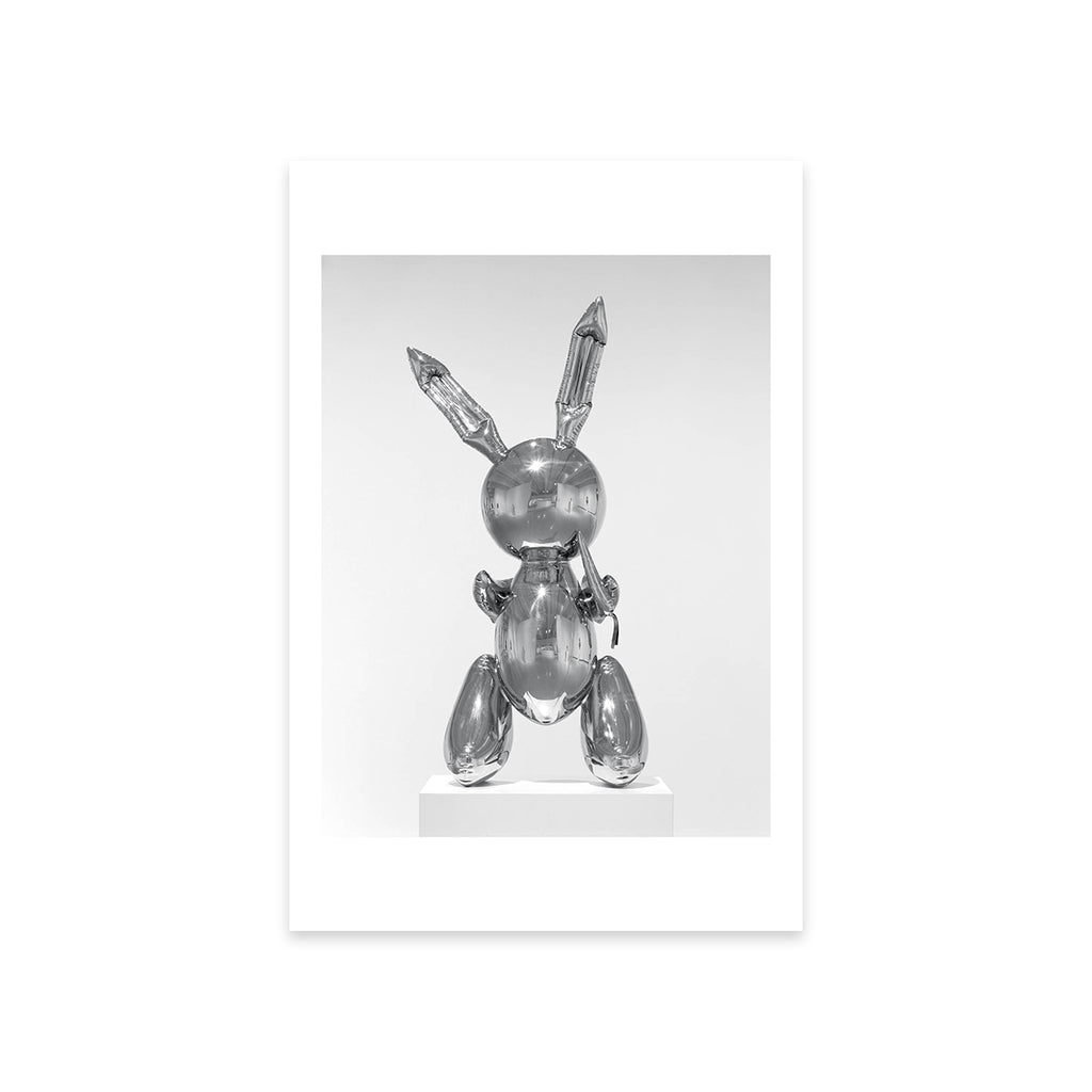 Rabbit Postcard