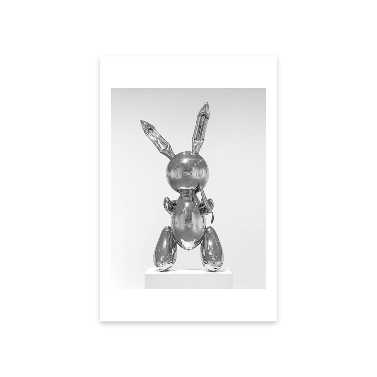 Rabbit Postcard