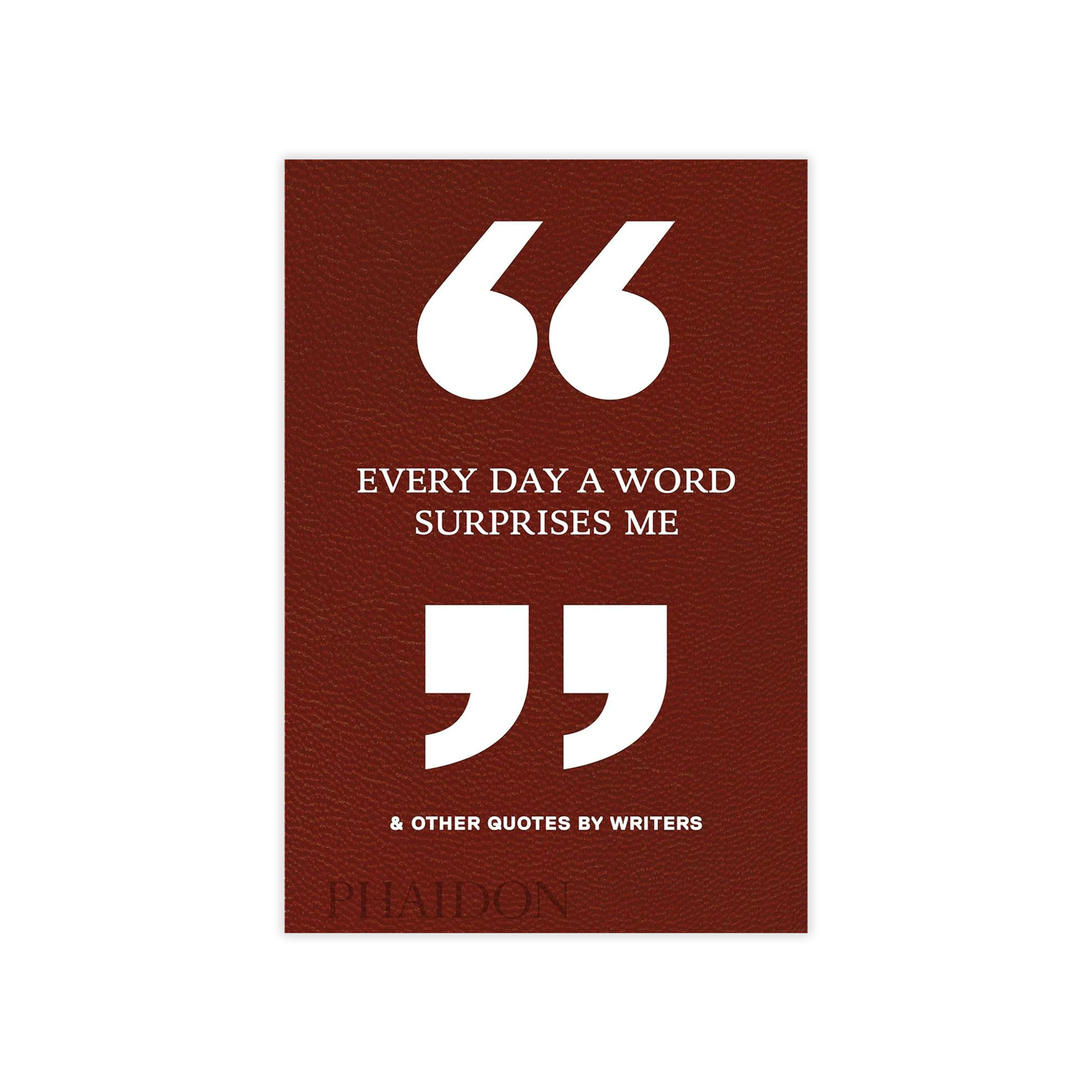 Every Day a Word Surprises Me