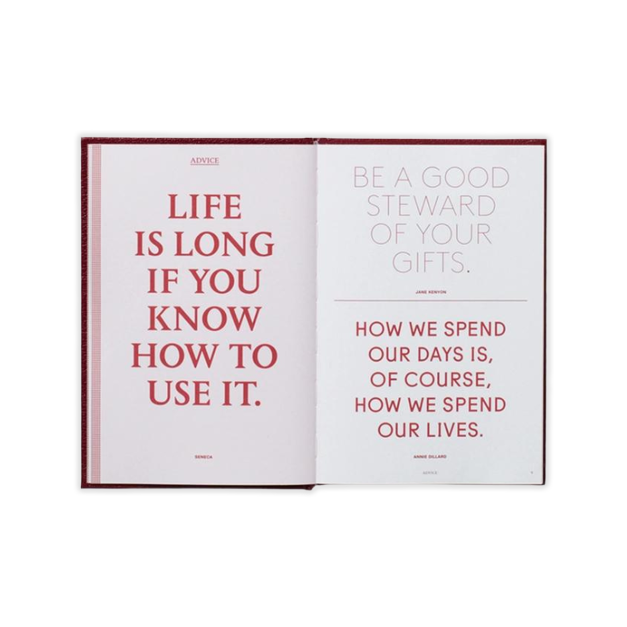 Every Day a Word Surprises Me