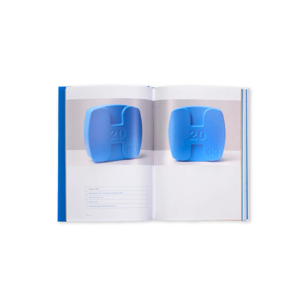 Damien Hirst: Schizophrenogenesis