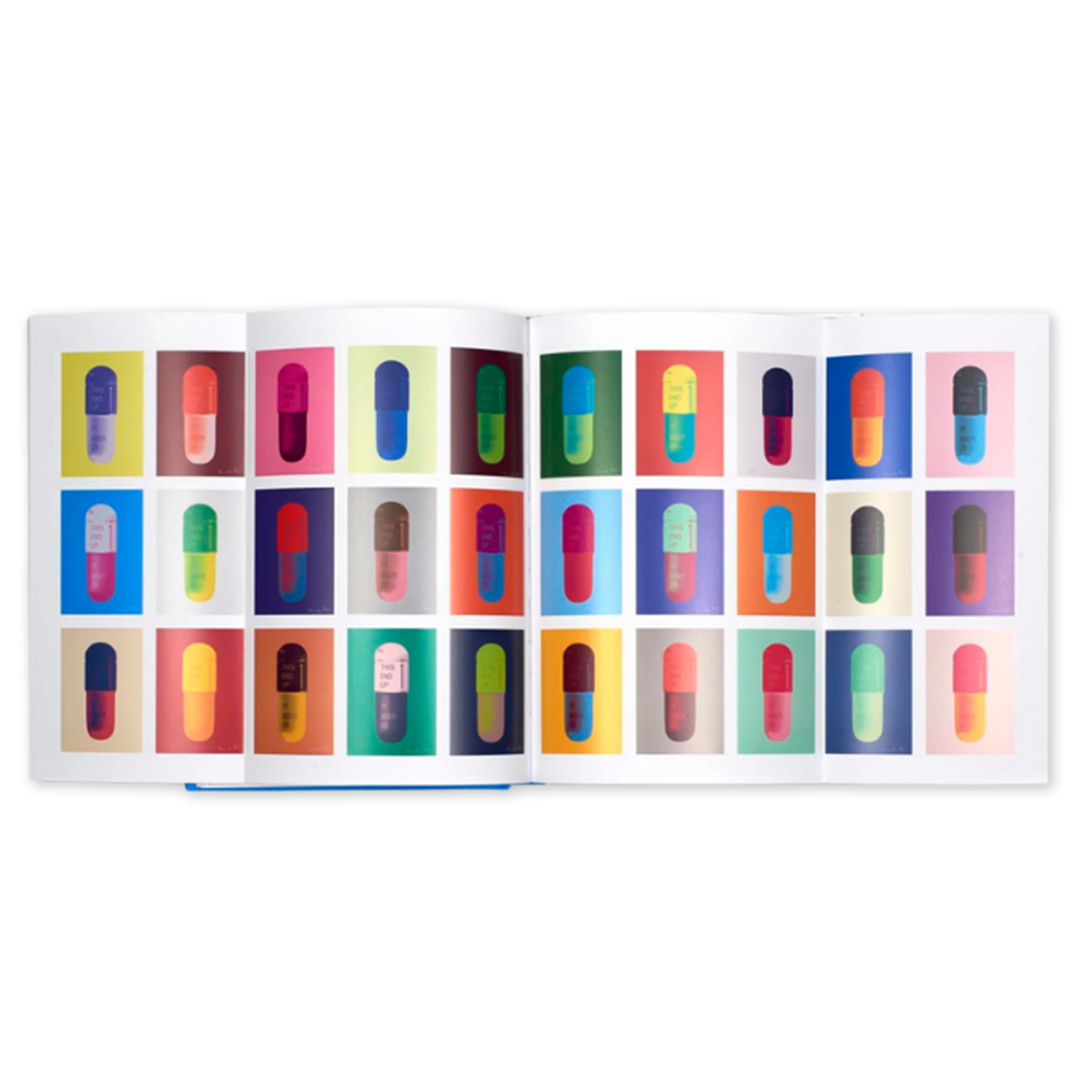 Damien Hirst: Schizophrenogenesis