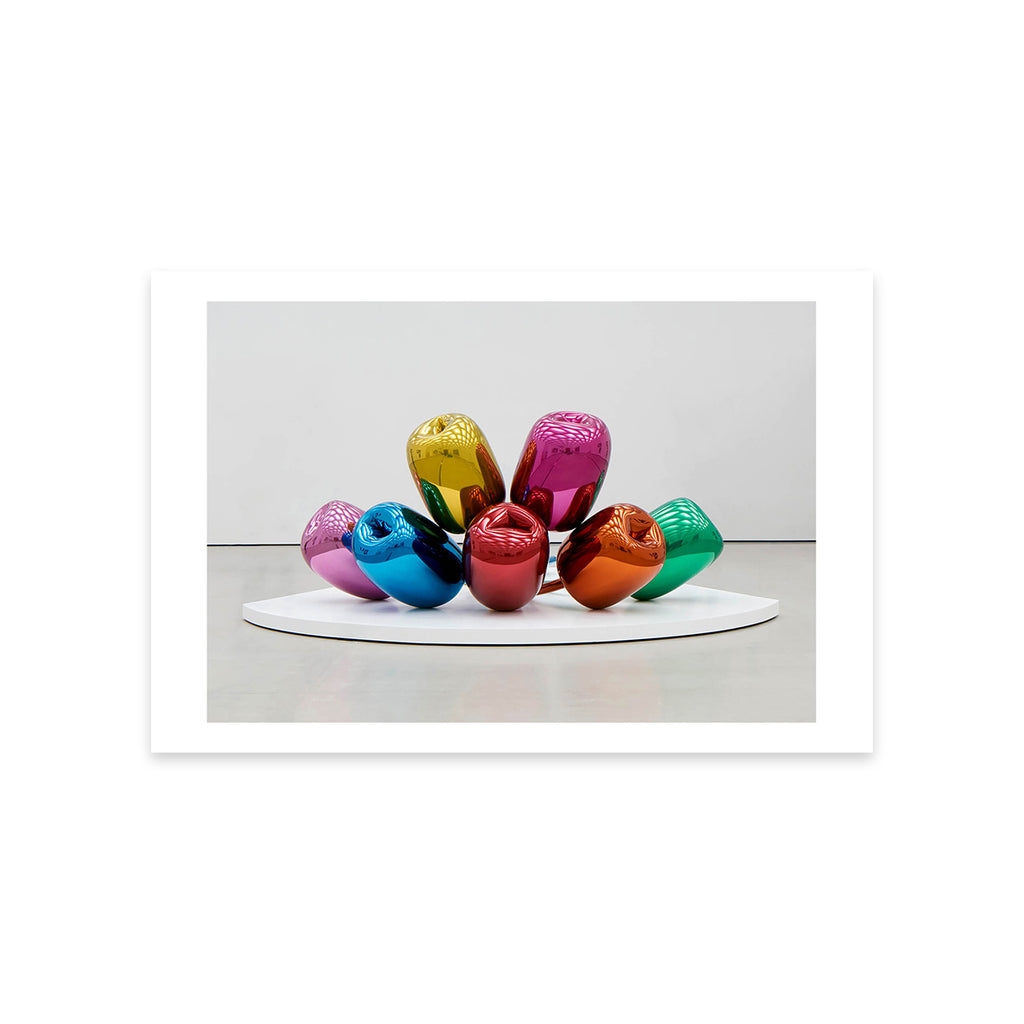 Tulips Postcard