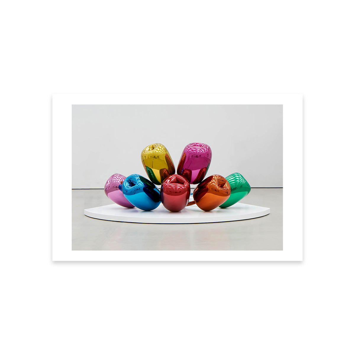 Tulips Postcard