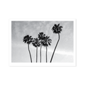 Black Palms Notecard