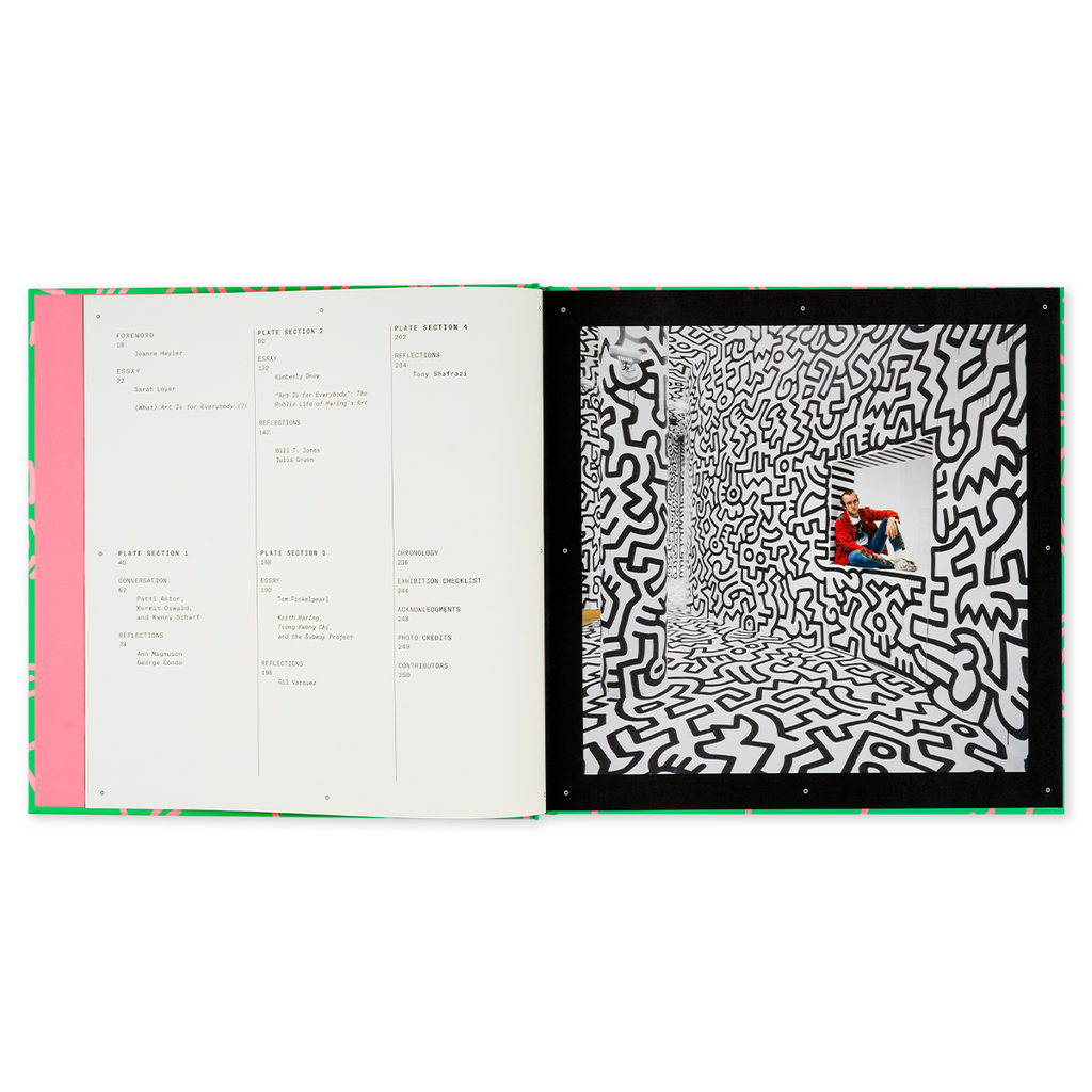 Keith Haring: Art Is for Everybody