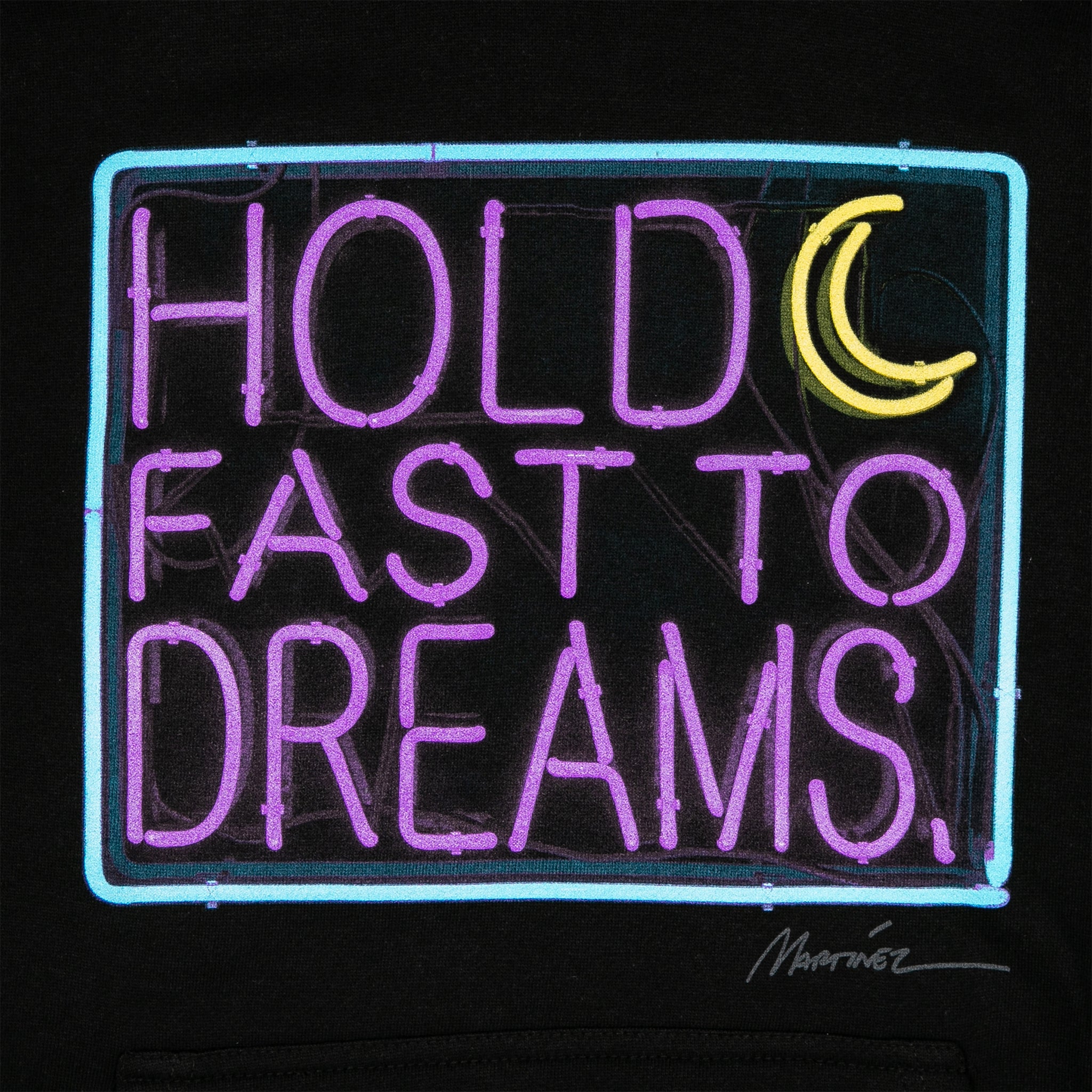 Dreams (Langston Hughes) Hoodie