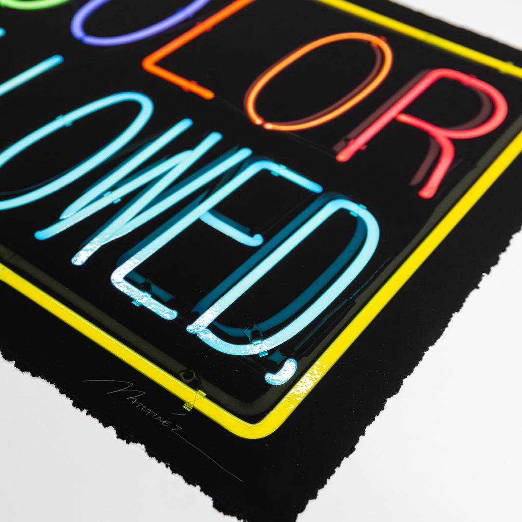 Permitted Color Patrick Martinez, Color Allowed (2021) Limited Edition Print – The Shop ...
