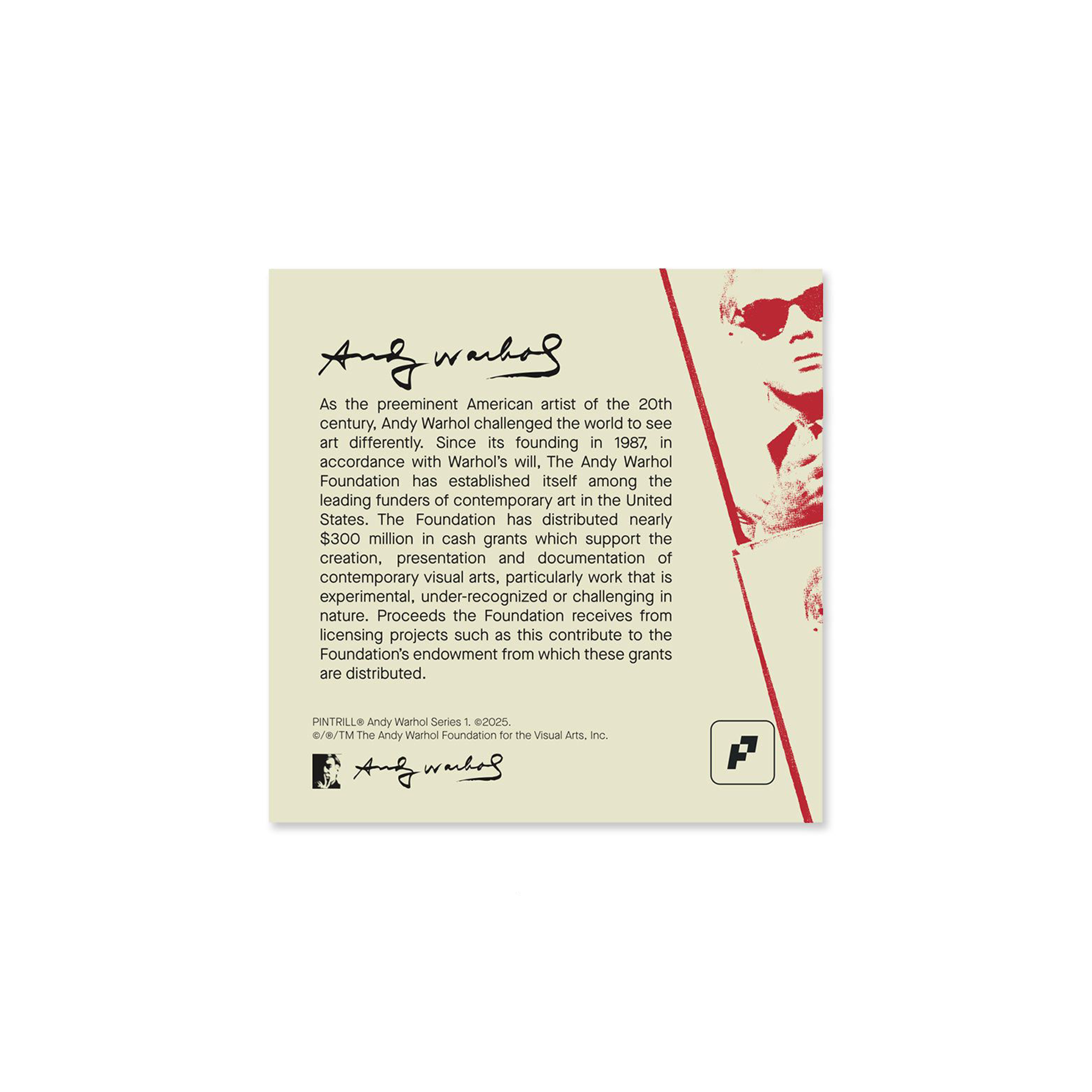 Andy Warhol Banana Pin Set