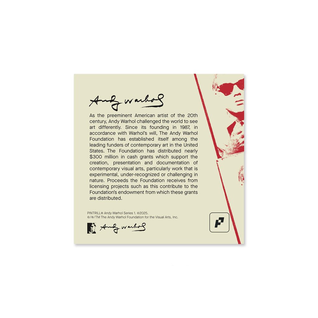 Andy Warhol Diagram Pin Set