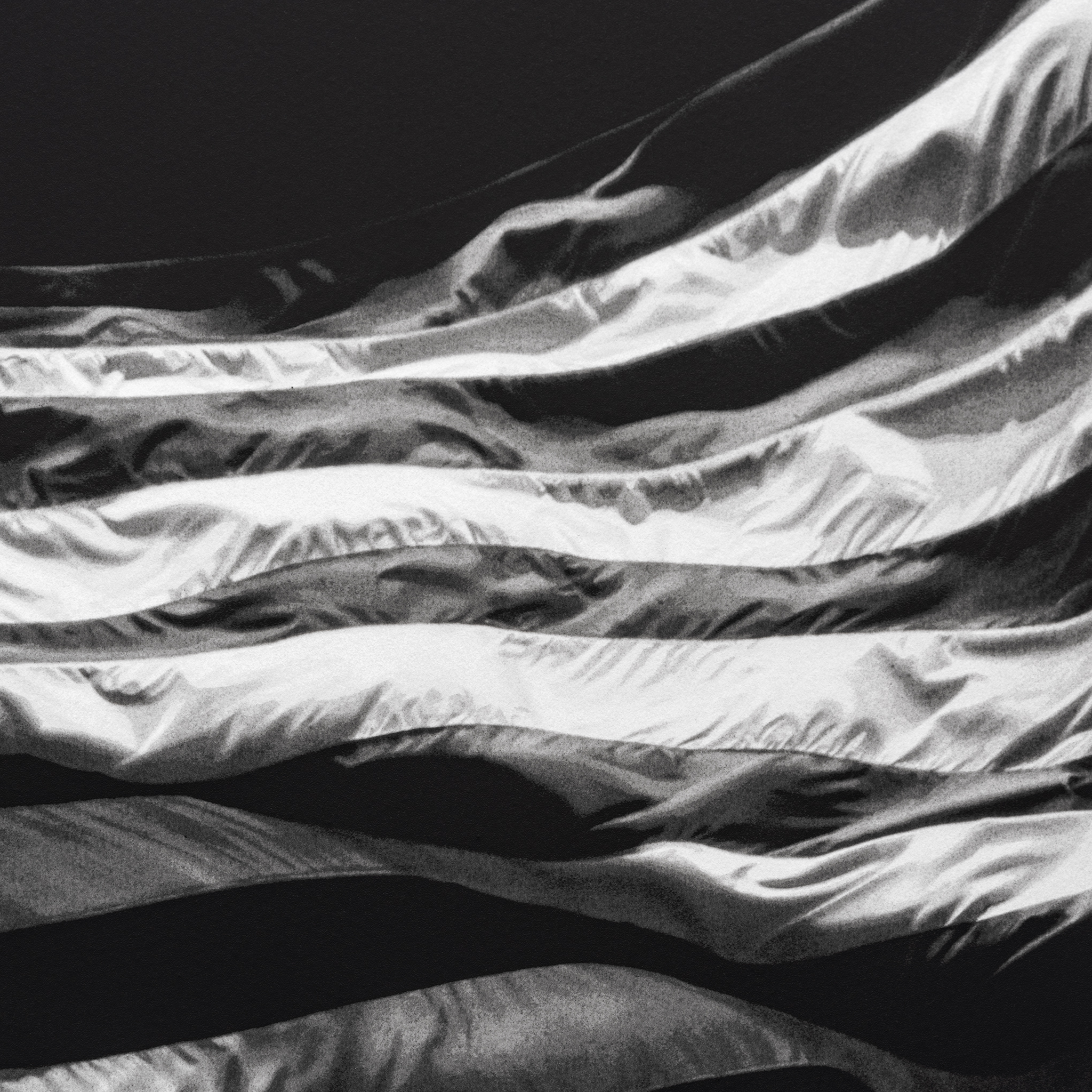 Robert Longo, Untitled (Falling Flag) (2025)