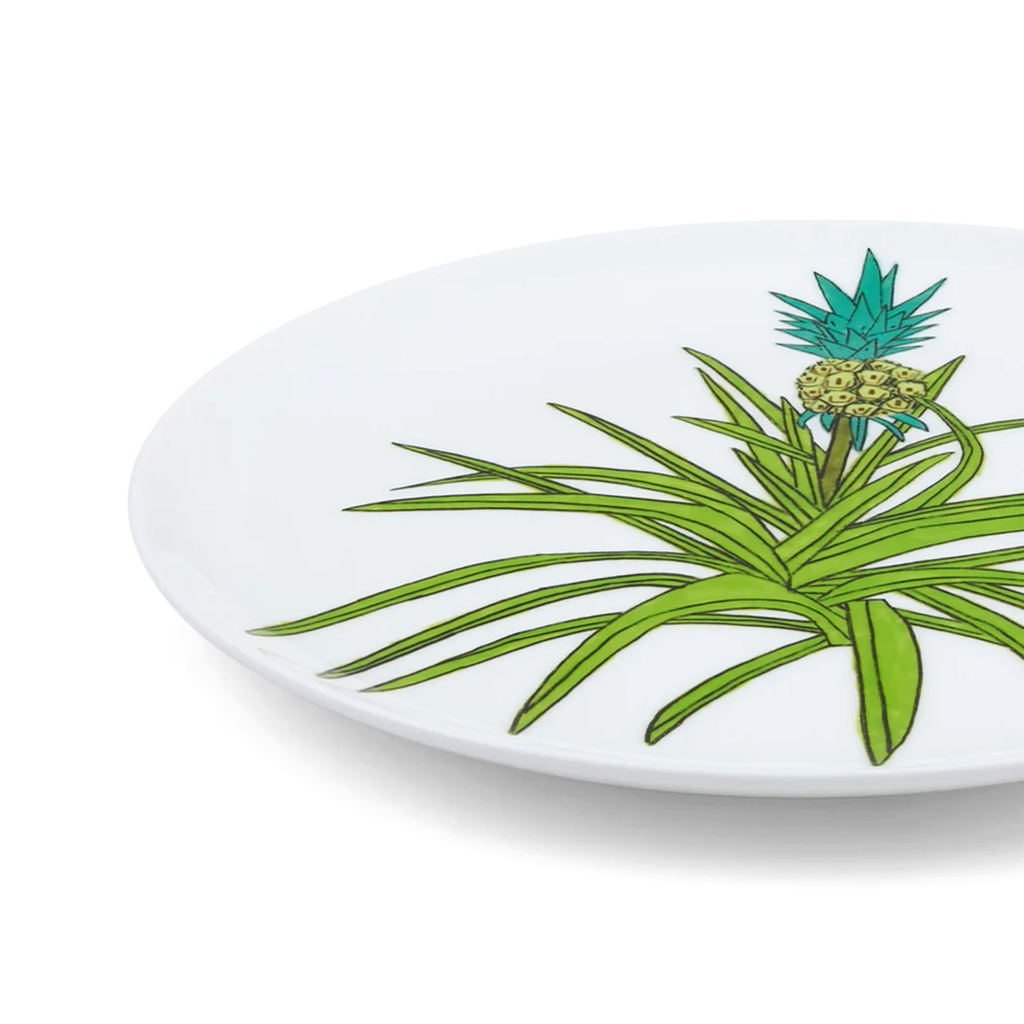 Plate by Jonas Wood (2025)