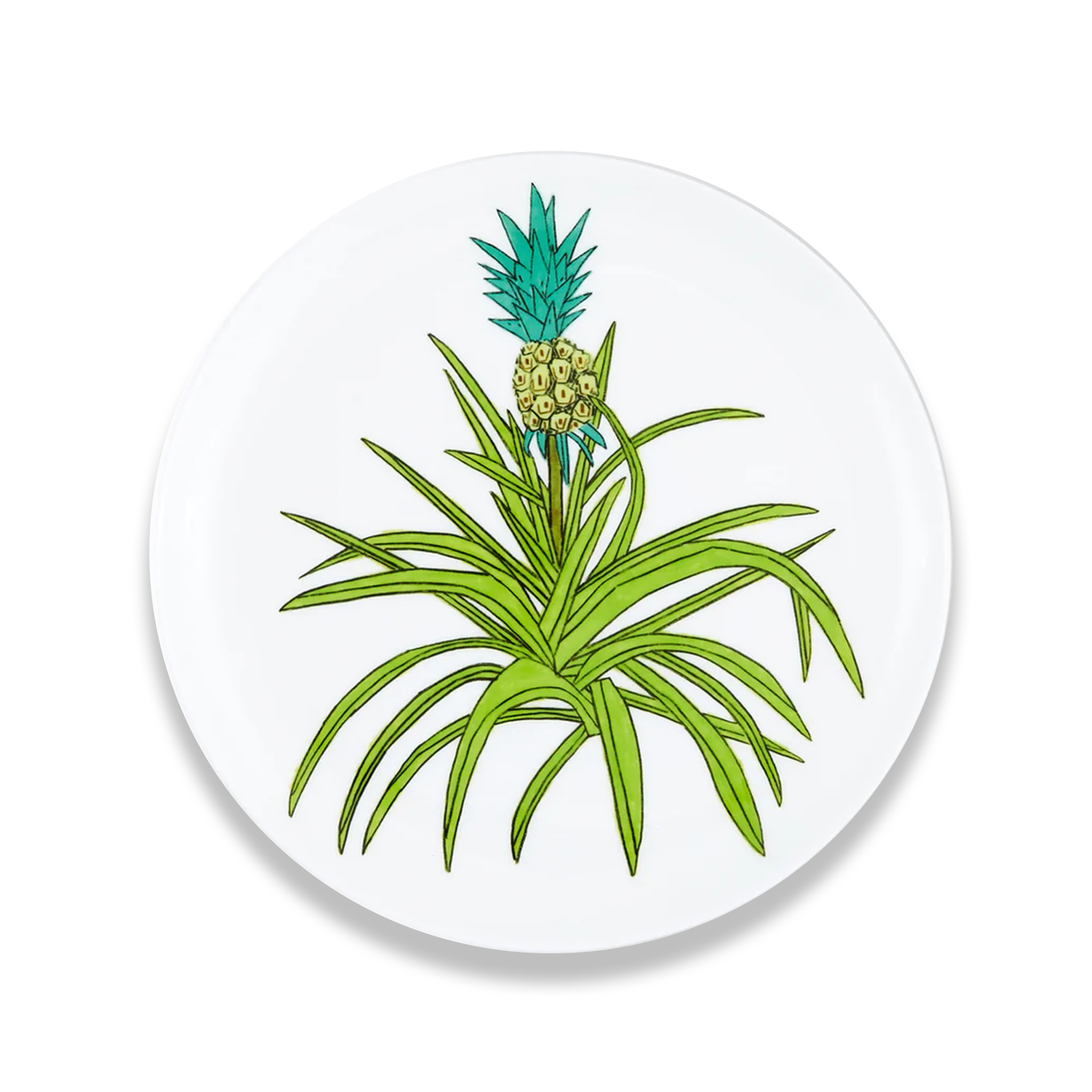 Plate by Jonas Wood (2025)