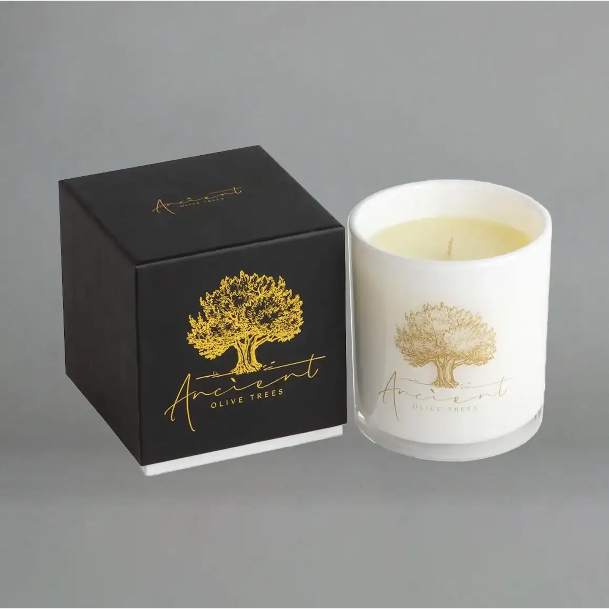 Ancient Olive Trees Reminisce Candle