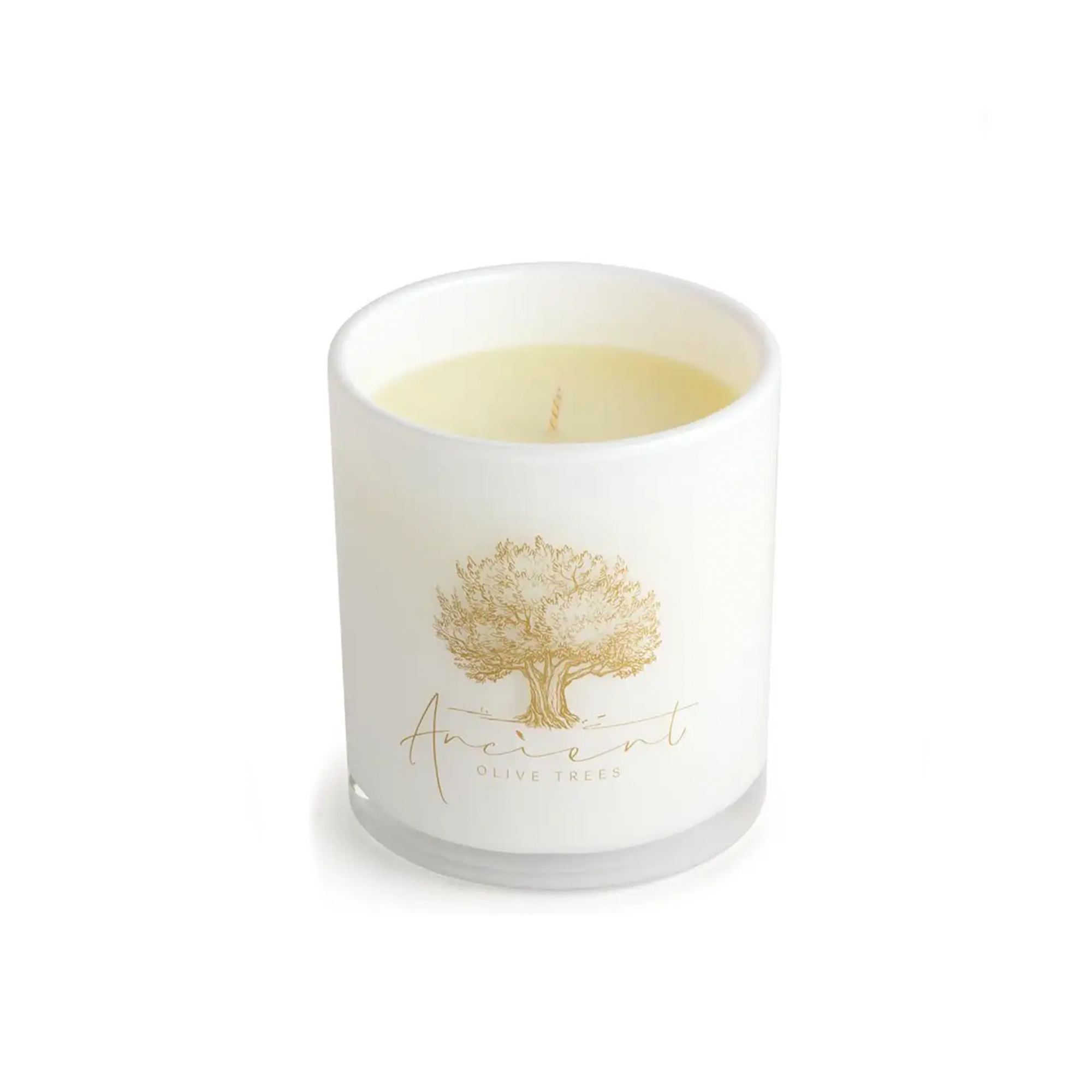 Ancient Olive Trees Reminisce Candle