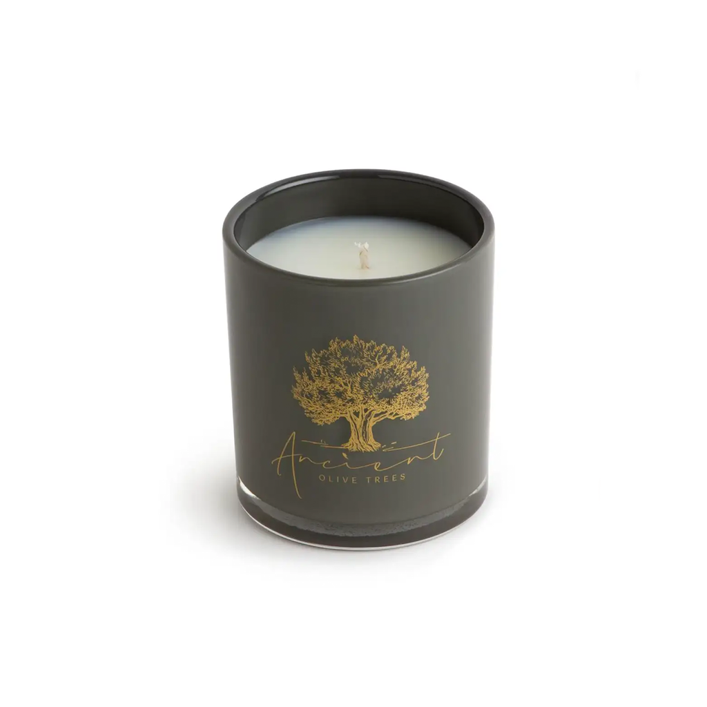 Ancient Olive Trees Cashmere Candle