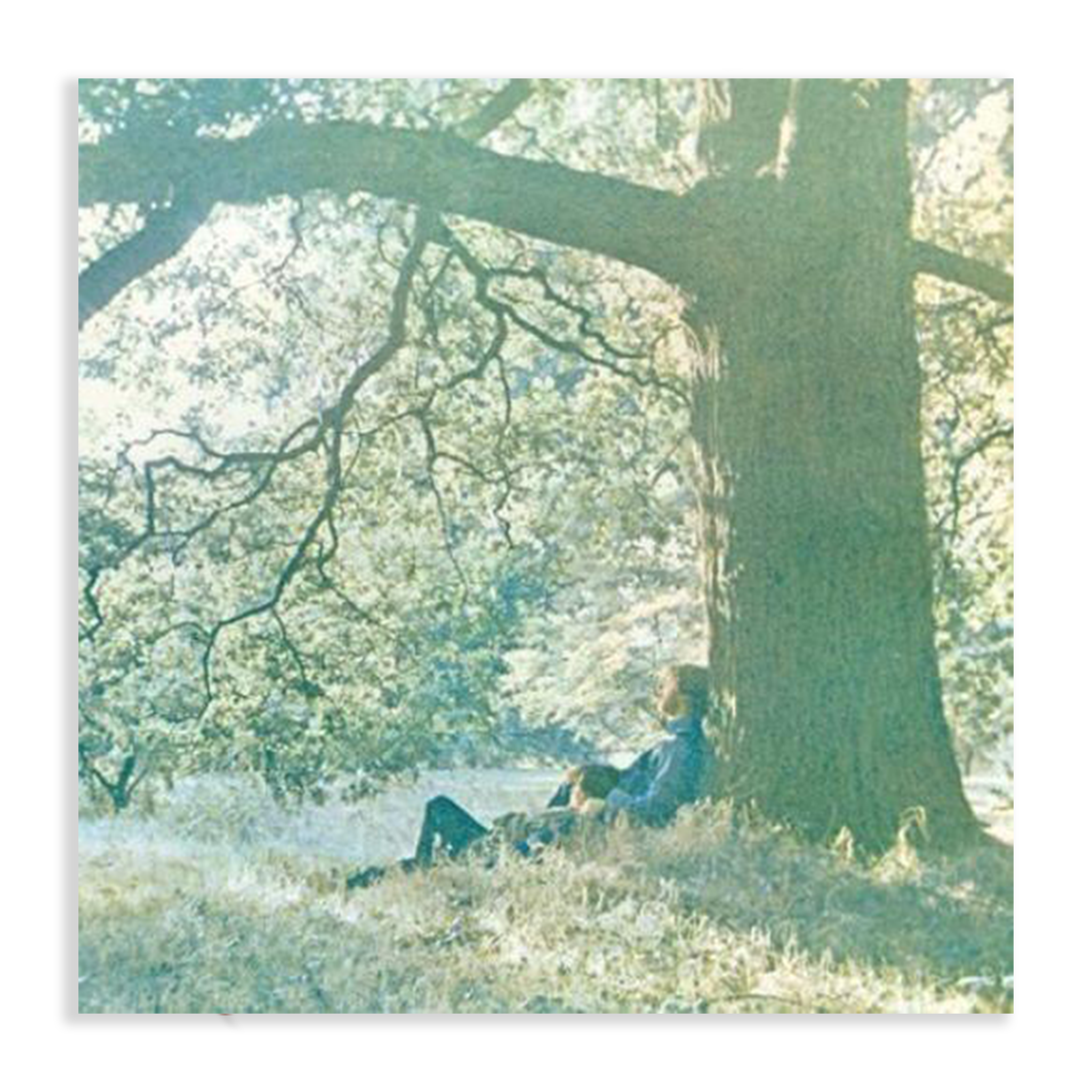 Yoko Ono: Plastic Ono Band Vinyl LP