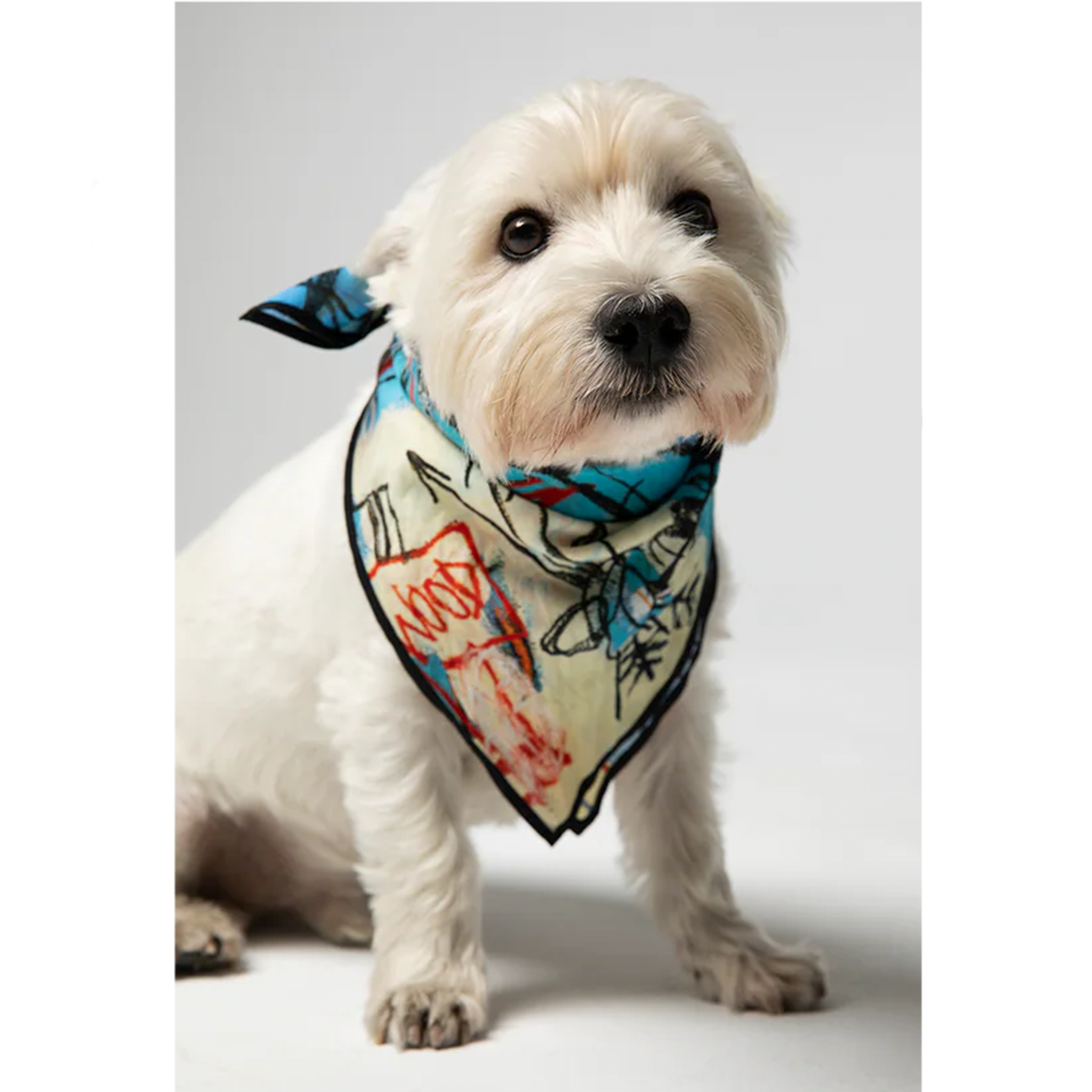 Jean-Michel Basquiat Bird On Money Bandana